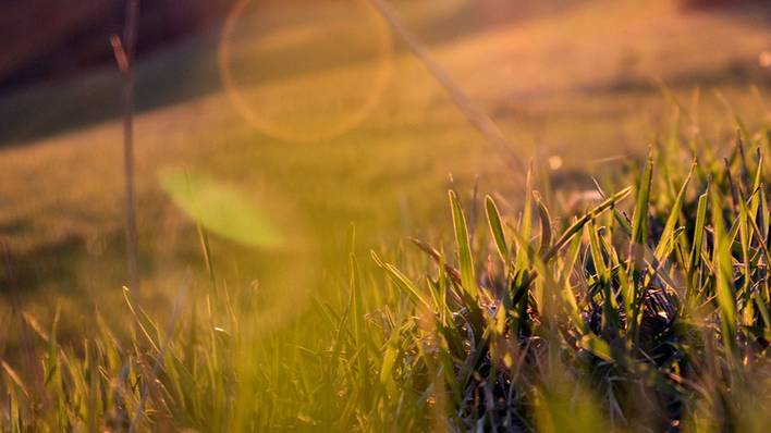 Distinguishing Characteristics Between God the Father and Jesus